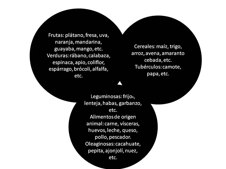 Salud, Nutrición y Adolescencia.: Colaciones escolares.