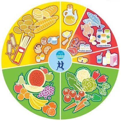 Tu buena salud: La pirámide alimenticia y la rueda de los alimentos