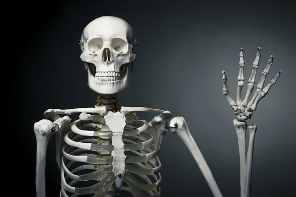 Saludar esqueleto humano feliz — Foto stock © fergregory #13447288