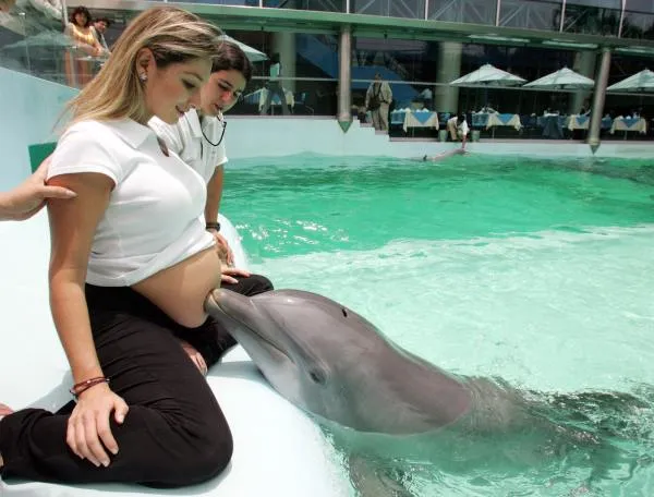 Salvemos a los Delfines: Curiosidades sobre delfines
