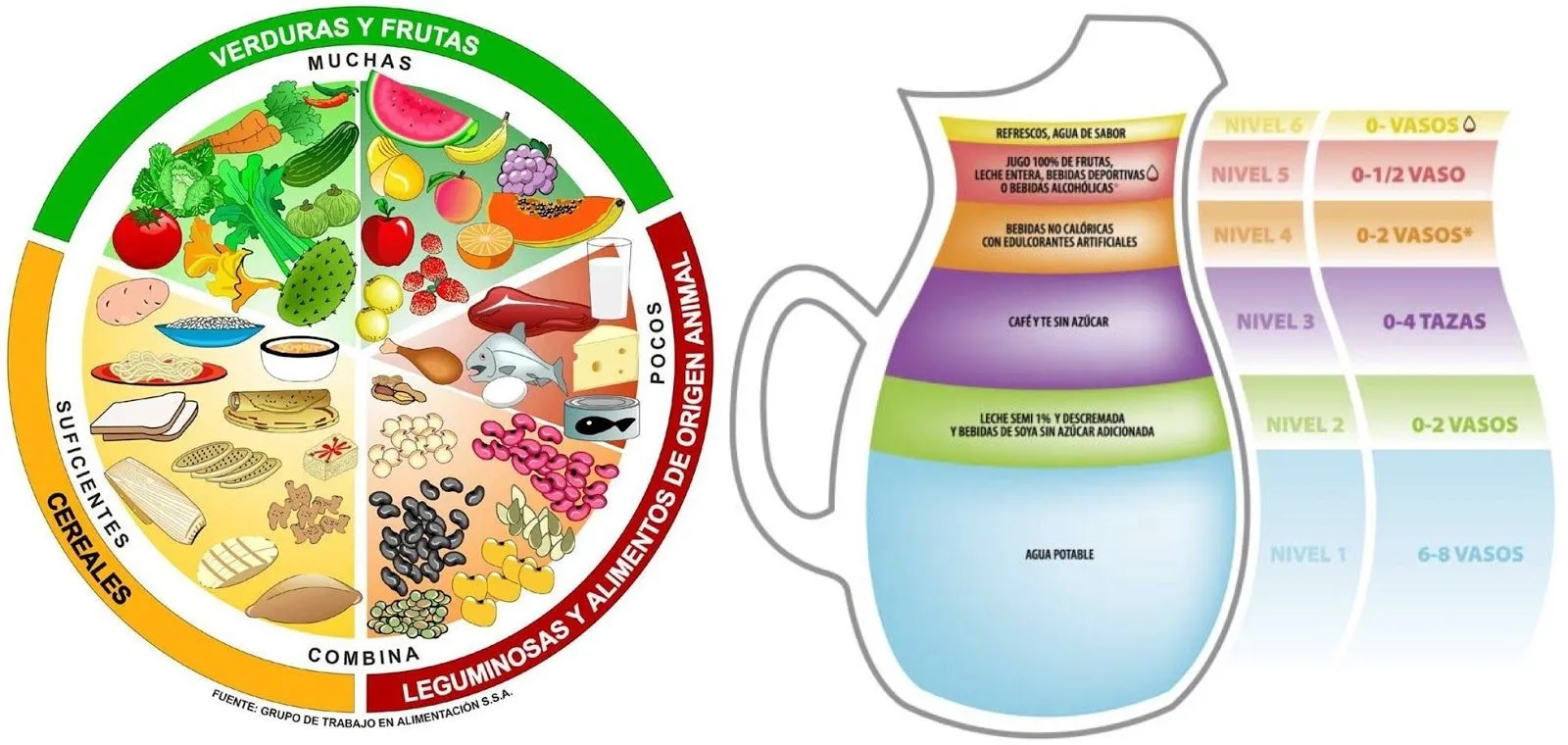 Una Sana Alimentación: Video: El Plato del Buen Comer y la Jarra ...