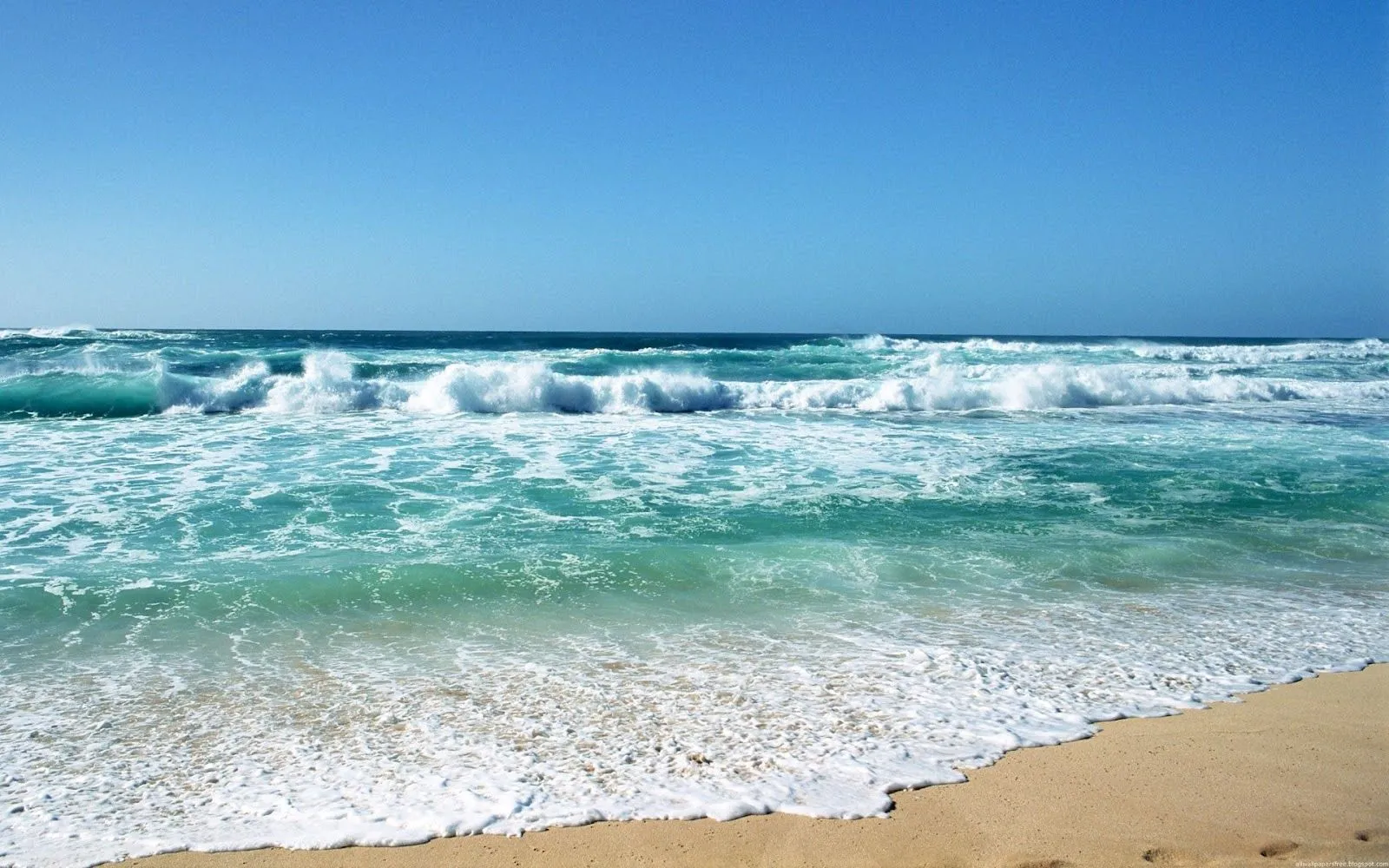 EL PODER SANADOR Y REVITALIZANTE DE LA BRISA DEL MAR | cambia tu ... EL PODER SANADOR Y REVITALIZANTE DE LA BRISA DEL MAR | cambia tu ...
