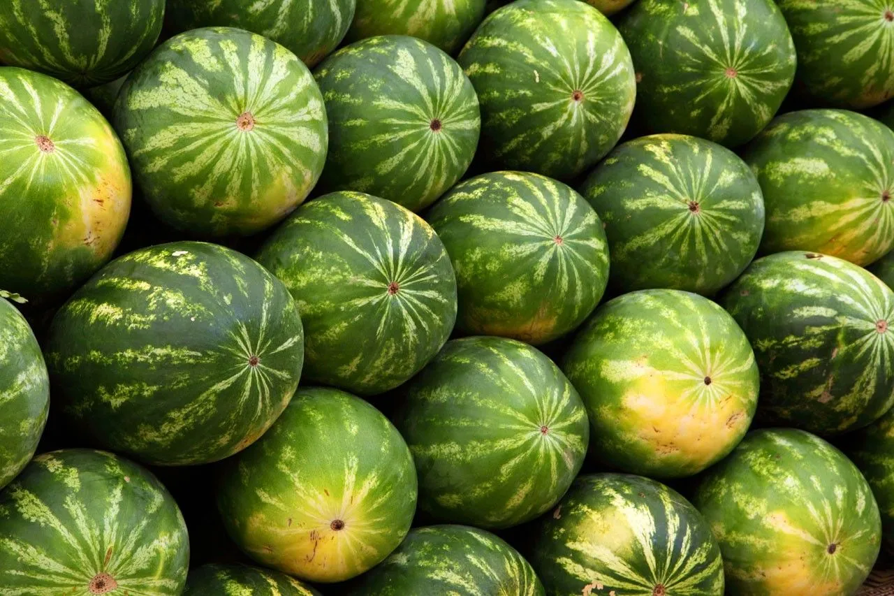Como saber que sandía comprar - El Aderezo - Blog de Cocina Como saber que sandía comprar - El Aderezo - Blog de Cocina