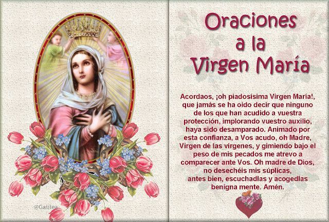 Santa María, Madre de Dios y Madre nuestra: Oraciones a la Virgen ...