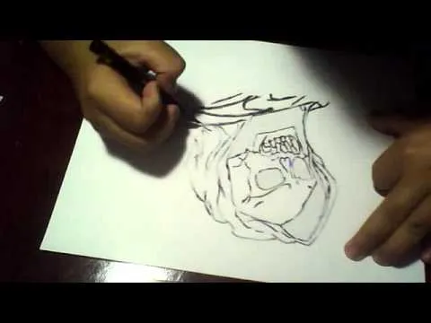AMY AMY - Dibujos calaveras/skull drawings-cartel de santa