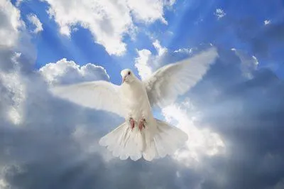 SEAMOS SANTOS: ORACIÓN AL ESPÍRITU SANTO DE JUAN PABLO II SEAMOS SANTOS: ORACIÓN AL ESPÍRITU SANTO DE JUAN PABLO II