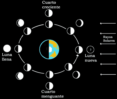 Nuestro satélite natural La Luna « ProAstronomía