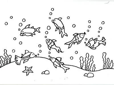 Schlicht blog: peces para colorear