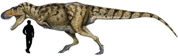 Sciencuriosities: Los 10 grandes dinosaurios carnívoros de todos ...