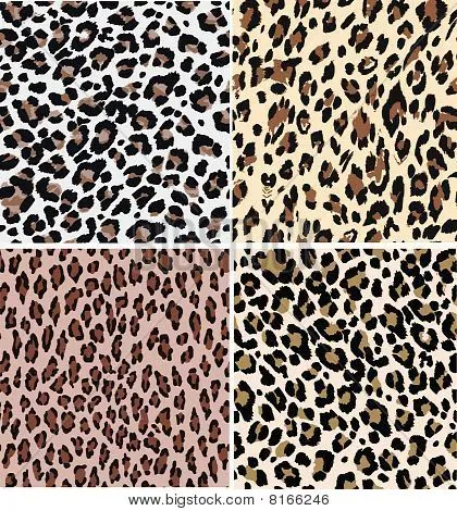 seamless animal leopard print Stock Vector & Stock Photos | Bigstock