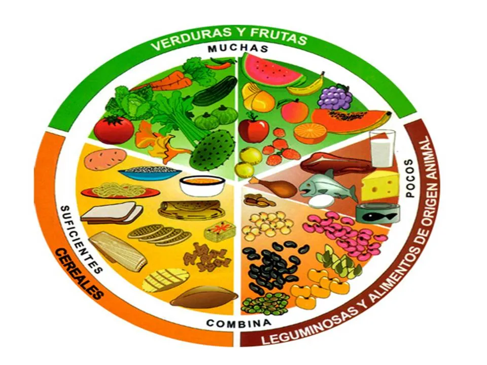 La Secretaría de Salud recomienda incluir el plato del buen comer ... La Secretaría de Salud recomienda incluir el plato del buen comer ...