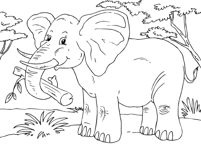 Imagenes de animales de la selva para dibujar - Imagui