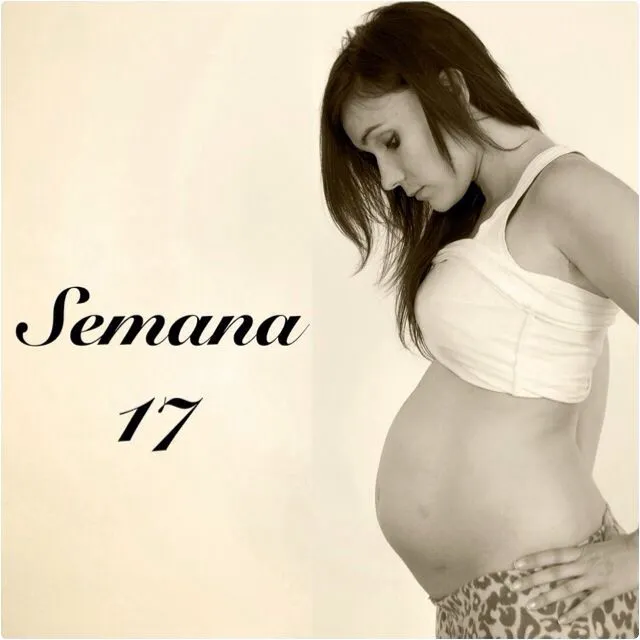 Semana 17 embarazo gemelar | Embarazo de mellizos, Embarazo