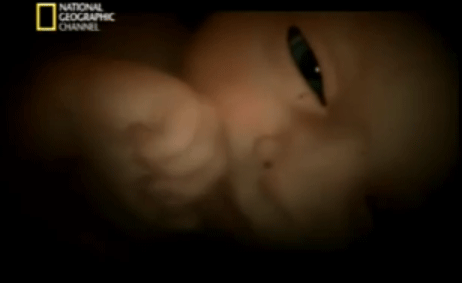 SEMANA 24: El bebé ya te oye y abre los ojos