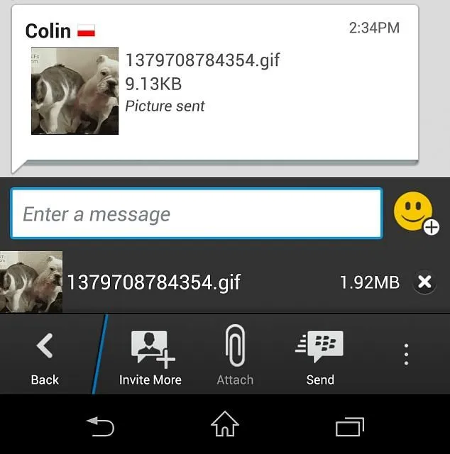 Sending .gif on Android BBM - BlackBerry Forums at CrackBerry.com