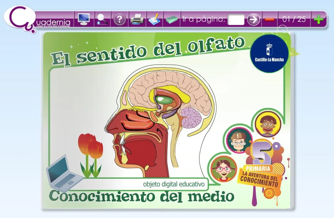 El sentido del olfato | Recurso educativo 47193 - Tiching El sentido del olfato | Recurso educativo 47193 - Tiching