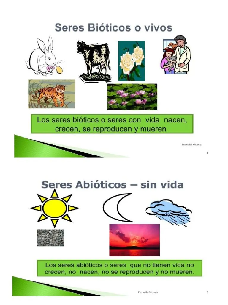 Seres Bioticos y Abioticos | PDF
