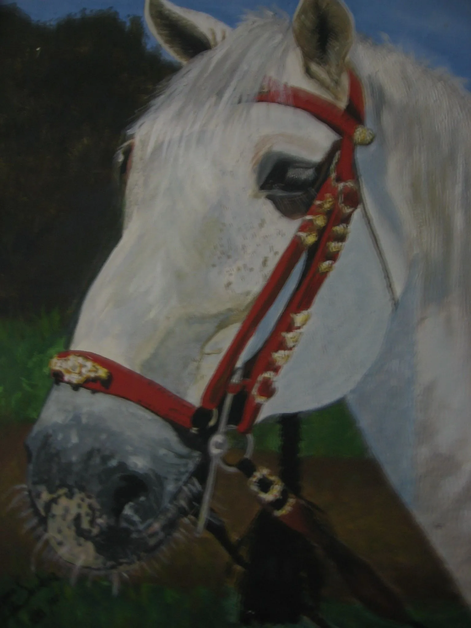 ... serie de caballos en el corro de relincho para el rodeo de la memoria ... serie de caballos en el corro de relincho para el rodeo de la memoria