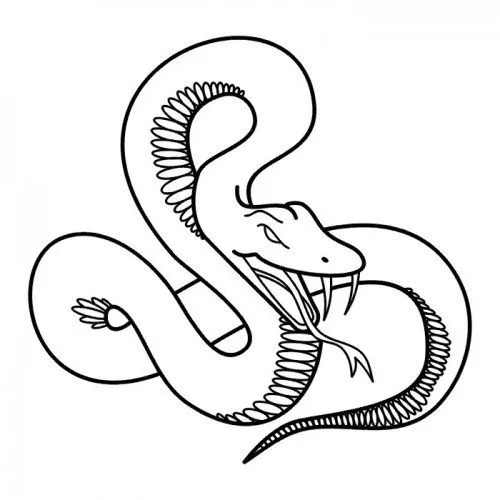 Serpientes dibujo - Imagui