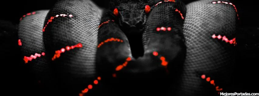 Serpiente Negra Ojos Rojos - ÷ Las Mejores Portadas para tu perfil ...
