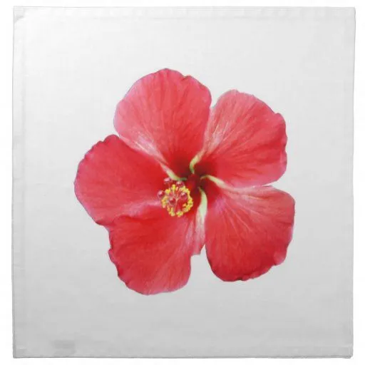 Servilleta hawaiana roja del paño de la flor del h | Zazzle