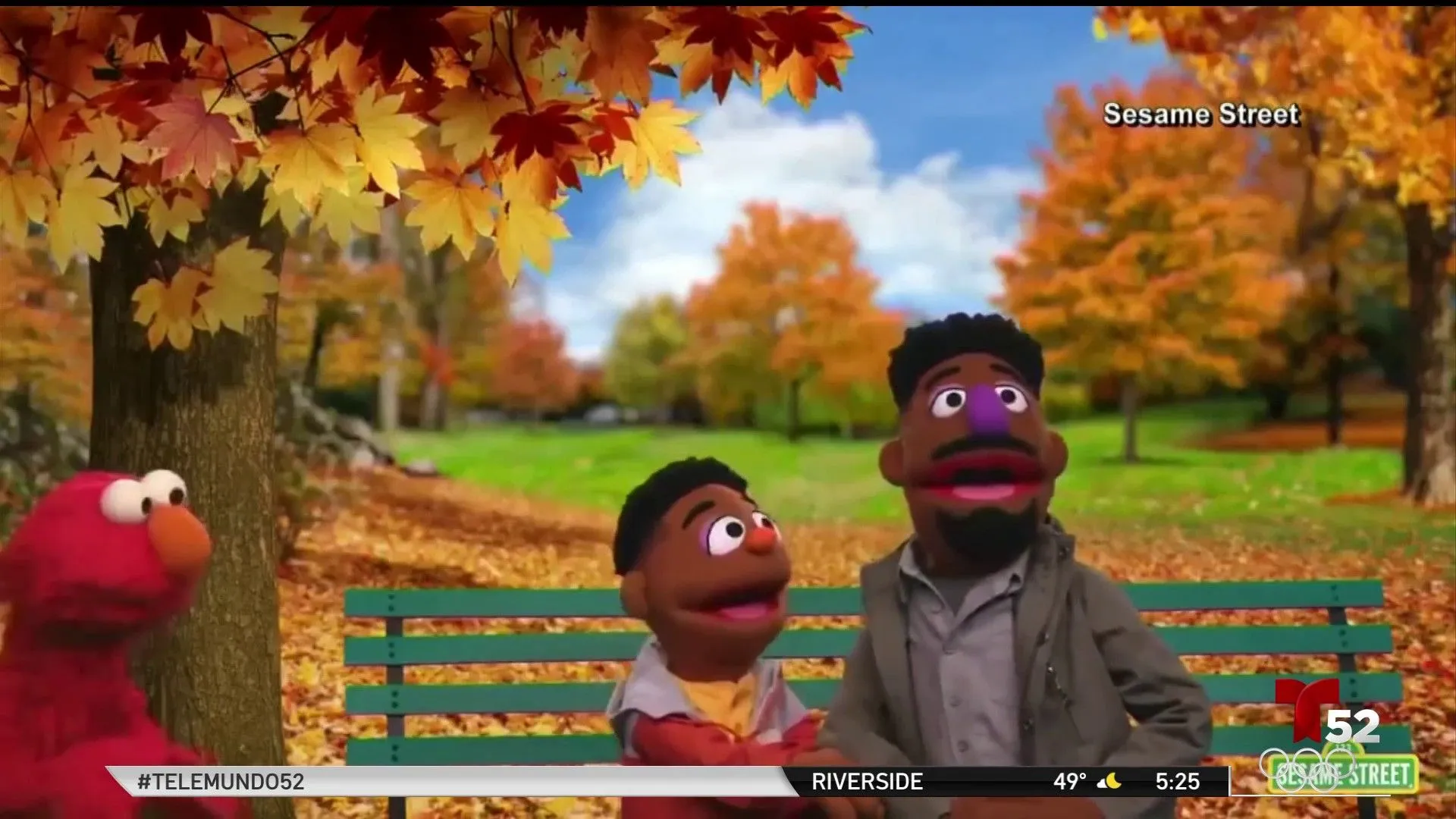 Sesame Street: Plaza Sésamo aborda racismo incluyendo a dos personajes  afroamericanos – Telemundo Fresno