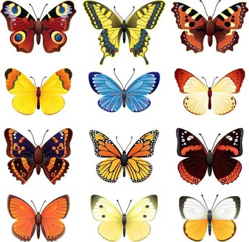 Set de mariposas vectorizadas -