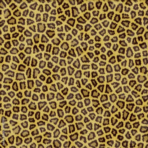 sfondo leopardo di Giuseppe Porzani, foto stock royalty free ... sfondo leopardo di Giuseppe Porzani, foto stock royalty free ...
