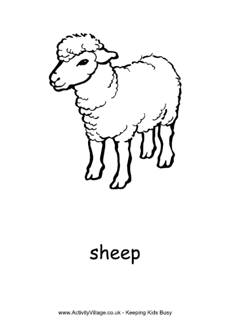 sheep_colouring_page_3_460_0.gif