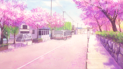 Shinta — La sakura o flor del cerezo japonés es uno de los...