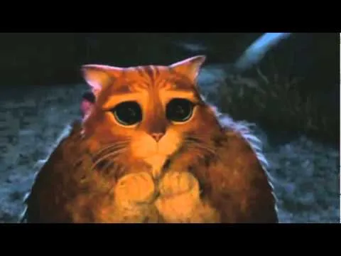 Ojitos del gato de shrek - Imagui