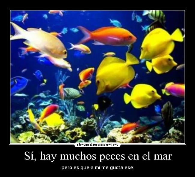 Sí, hay muchos peces en el mar | Desmotivaciones