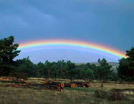 Significado de los colores del Arco Iris | Soy Esotérica Significado de los colores del Arco Iris | Soy Esotérica