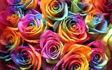el significado de los colores de las flores | zapeyzipi