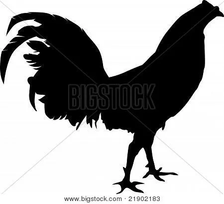 Siluetas de gallos de pelea - Imagui