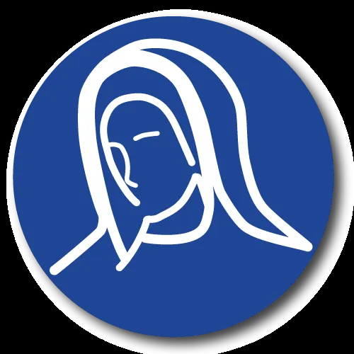 Virgen maria logo silueta - Imagui
