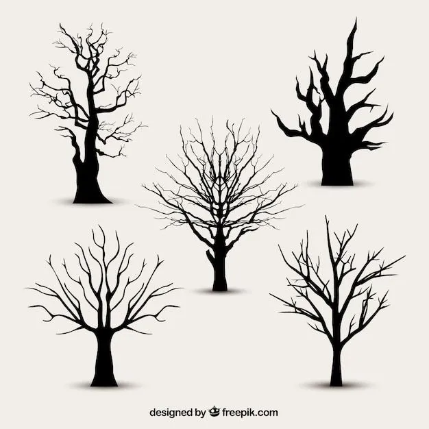 Siluetas del árbol sin hojas | Descargar Vectores gratis