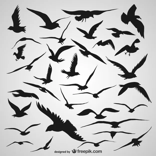 Siluetas de aves volando | Descargar Vectores gratis