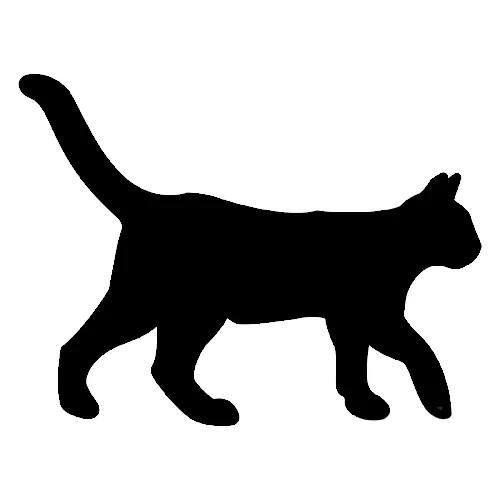 gato negro silueta - Orientación Andújar - Recursos Educativos