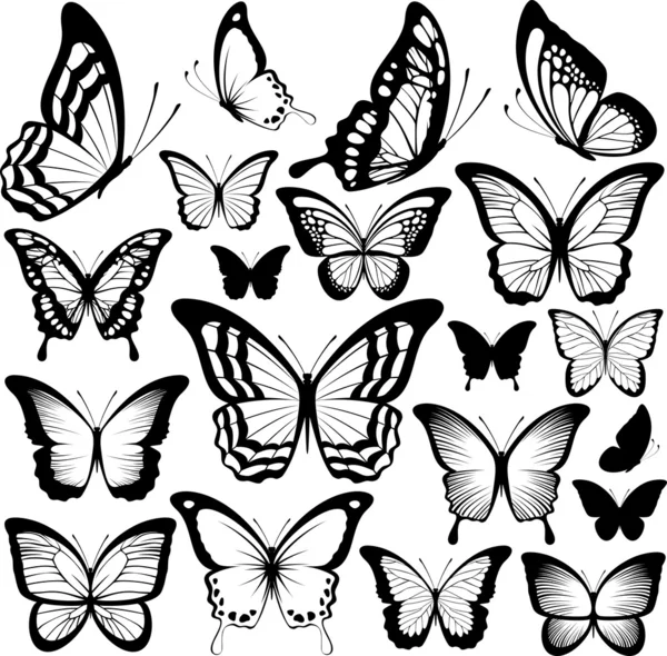 siluetas de mariposa negra — Vector stock © hayaship #53068857