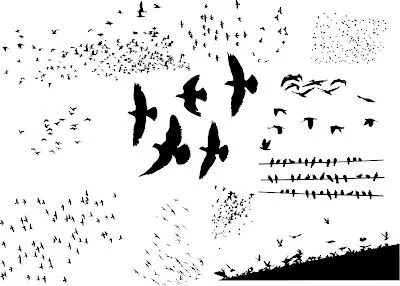 Siluetas de pájaros en vector (vector birds) | Recursos 2D.com
