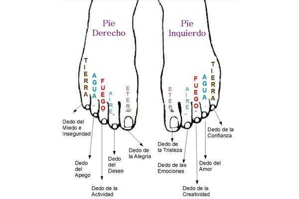 Que simbolizan los dedos de los pies - Barcelona Alternativa