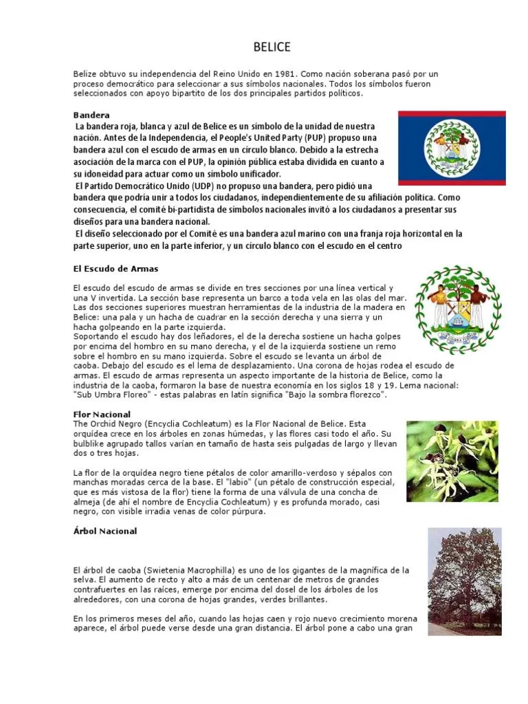 Simbolos Patrios de Cada Pais de Centroamerica | PDF | Venado de cola  blanca | Naturaleza
