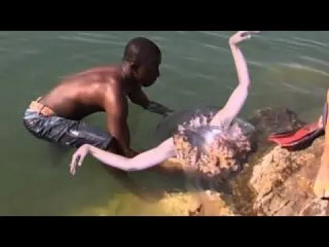 Sirena Real grabada viva en el mar abierto 2015. - YouTube