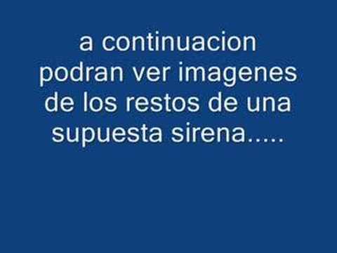Videos de sirenas vivas - Imagui