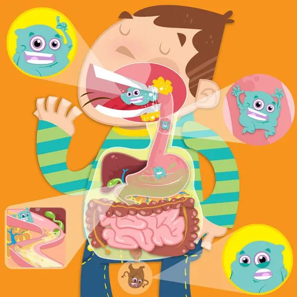 Cuento del aparato digestivo para niños - Imagui