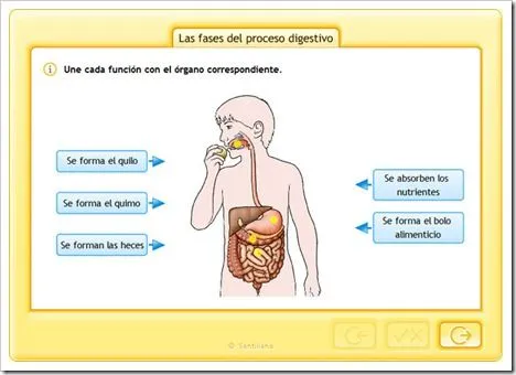 EL SISTEMA DIGESTIVO | JUGANDO Y APRENDIENDO EL SISTEMA DIGESTIVO | JUGANDO Y APRENDIENDO