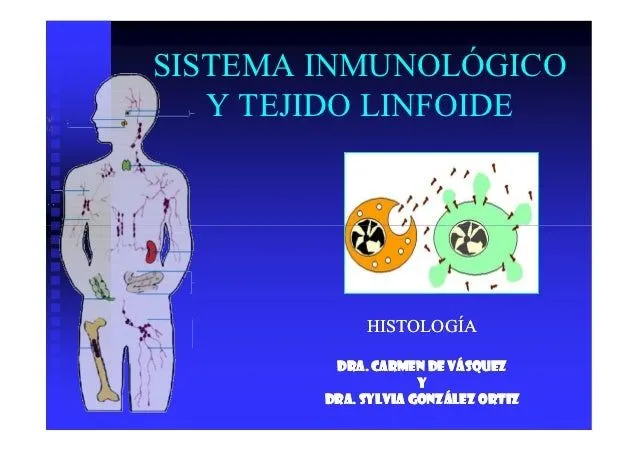 sistema-inmunologico- ...