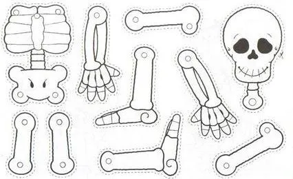 Dibujos de esqueletos humanos para niños - Imagui