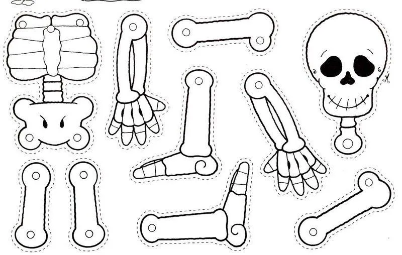 Skeleton coloring pages are great for learning human anatomy and especially  fun for Halloween. These co… | Skeleton craft, Halloween preschool,  Halloween activities